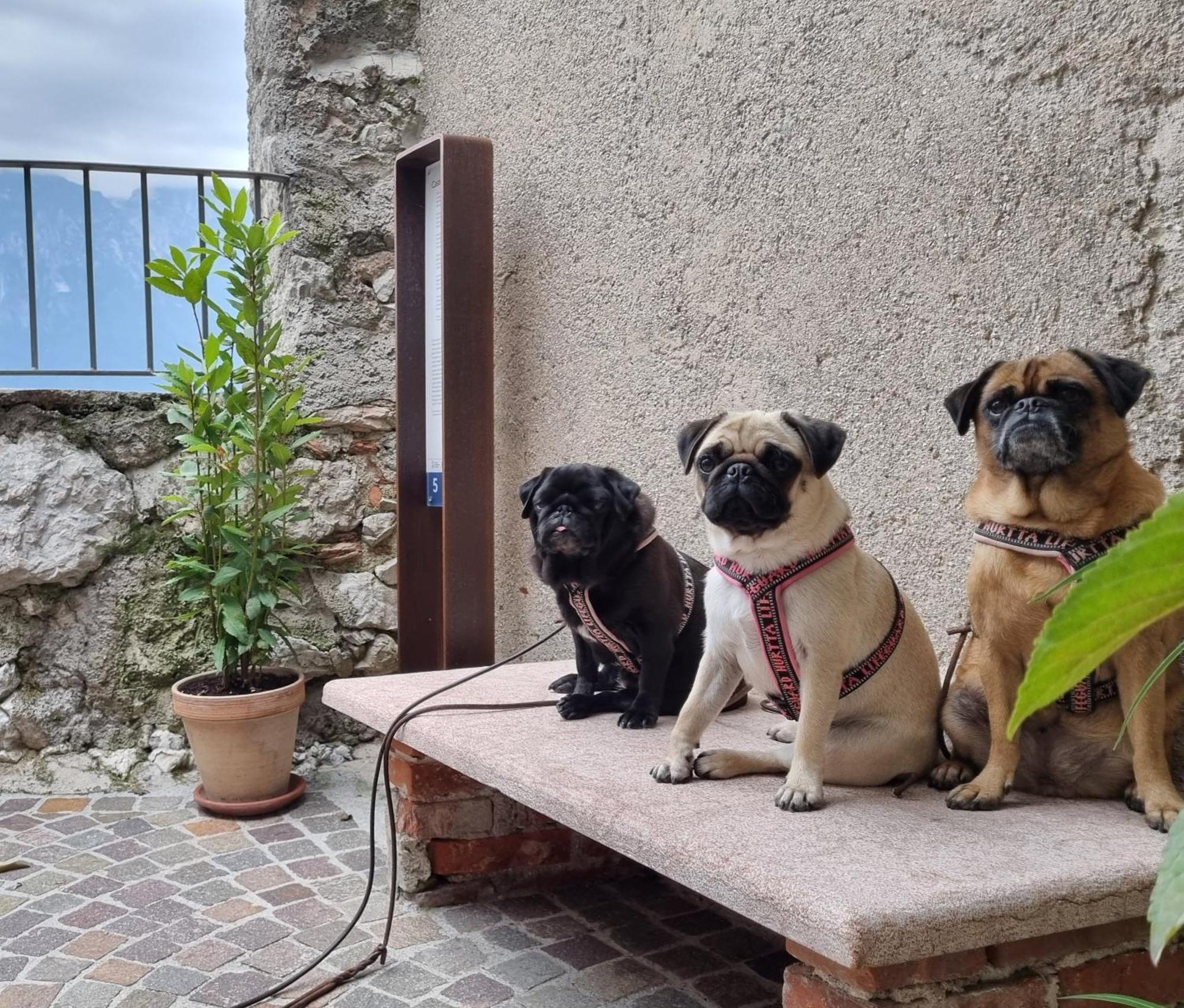 Locanda Al Castelletto Tremosine Buitenkant foto